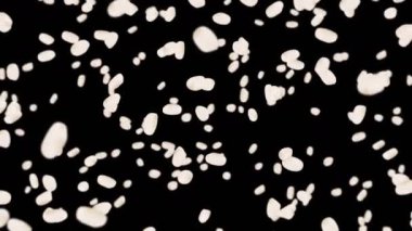 Siyah arka planda bir sürü pirinç uçurmak. Beyaz pirinç taneleri. Glutinous rice. Vejetaryen. Sağlıklı yiyecekler. Pirinç dönüşünün 3 boyutlu döngü animasyonu.