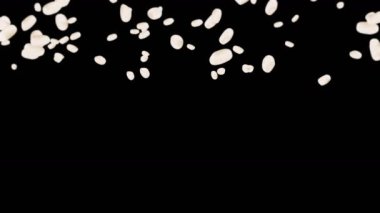 Siyah arka planda bir sürü pirinç uçurmak. Beyaz pirinç taneleri. Glutinous rice. Vejetaryen. Sağlıklı yiyecekler. Pirinç dönüşünün 3 boyutlu döngü animasyonu.