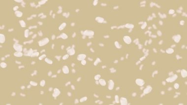 Kahverengi arka planda bir sürü pirinç uçuruyor. Beyaz pirinç taneleri. Glutinous rice. Vejetaryen. Sağlıklı yiyecekler. Pirinç dönüşünün 3 boyutlu döngü animasyonu.