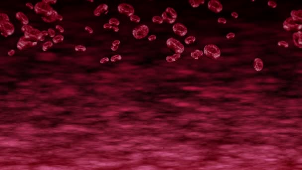 人的血管有许多红血球 医学概念 人类红血球的流 细胞旋转的3D循环动画 — 图库视频影像