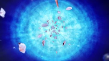 Mavi suda bir sürü deniz kabuğu uçuruyor. Gerçekçi kabuklu deniz hayvanı koleksiyonu. Tropik su altı. Dönen kabukların 3 boyutlu döngü canlandırması.