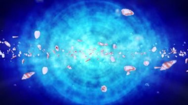 Mavi suda bir sürü deniz kabuğu uçuruyor. Gerçekçi kabuklu deniz hayvanı koleksiyonu. Tropik su altı. Dönen kabukların 3 boyutlu döngü canlandırması.