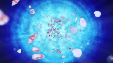 Mavi suda bir sürü deniz kabuğu uçuruyor. Gerçekçi kabuklu deniz hayvanı koleksiyonu. Tropik su altı. Dönen kabukların 3 boyutlu döngü canlandırması.