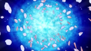 Mavi suda bir sürü deniz kabuğu uçuruyor. Gerçekçi kabuklu deniz hayvanı koleksiyonu. Tropik su altı. Dönen kabukların 3 boyutlu döngü canlandırması.