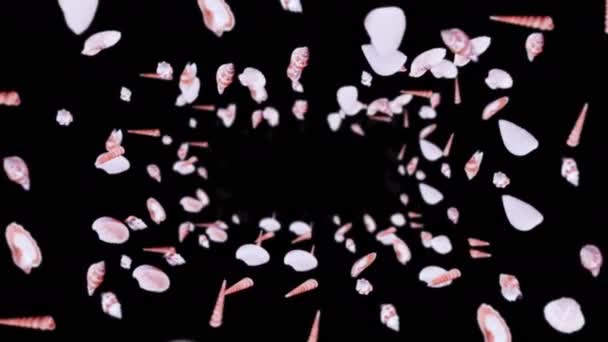 Летает Много Морских Раковин Черном Фоне Коллекция Реалистичных Моллюсков Тропические — стоковое видео