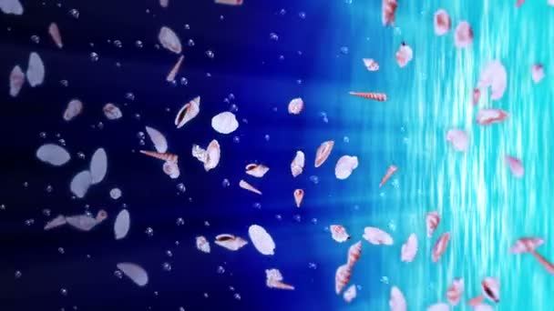 Létá Mnoha Mořskými Lasturami Modré Vodě Sbírka Realistických Korýšů Tropické — Stock video