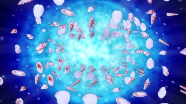 在蓝水中飞行的海贝壳很多 收集现实的贝类 热带水下 弹壳旋转的三维循环动画 — 图库视频影像