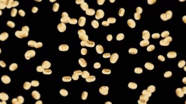 Siyah arka planda bir sürü soya fasulyesi uçuruyor. Açık kahverengi tanecikler. Soya fasulyesi ve soya fasulyesi. Sağlıklı yiyecekler. Dönen soya fasulyelerinin 3 boyutlu döngü animasyonu.