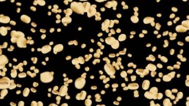 Siyah arka planda bir sürü soya fasulyesi uçuruyor. Açık kahverengi tanecikler. Soya fasulyesi ve soya fasulyesi. Sağlıklı yiyecekler. Dönen soya fasulyelerinin 3 boyutlu döngü animasyonu.