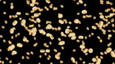 Siyah arka planda bir sürü soya fasulyesi uçuruyor. Açık kahverengi tanecikler. Soya fasulyesi ve soya fasulyesi. Sağlıklı yiyecekler. Dönen soya fasulyelerinin 3 boyutlu döngü animasyonu.