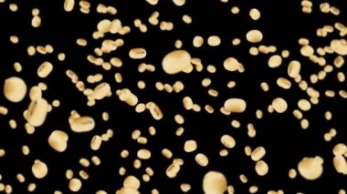 Siyah arka planda bir sürü soya fasulyesi uçuruyor. Açık kahverengi tanecikler. Soya fasulyesi ve soya fasulyesi. Sağlıklı yiyecekler. Dönen soya fasulyelerinin 3 boyutlu döngü animasyonu.