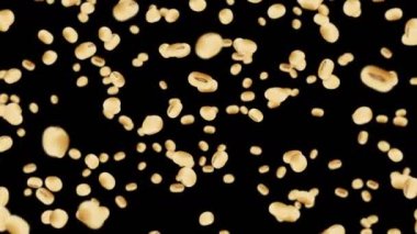 Siyah arka planda bir sürü soya fasulyesi uçuruyor. Açık kahverengi tanecikler. Soya fasulyesi ve soya fasulyesi. Sağlıklı yiyecekler. Dönen soya fasulyelerinin 3 boyutlu döngü animasyonu.