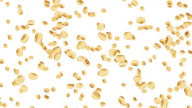 Beyaz arka planda bir sürü soya fasulyesi uçuruyor. Açık kahverengi tanecikler. Soya fasulyesi ve soya fasulyesi. Sağlıklı yiyecekler. Dönen soya fasulyelerinin 3 boyutlu döngü animasyonu.