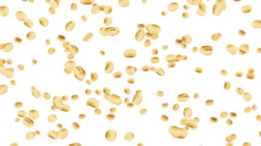 Beyaz arka planda bir sürü soya fasulyesi uçuruyor. Açık kahverengi tanecikler. Soya fasulyesi ve soya fasulyesi. Sağlıklı yiyecekler. Dönen soya fasulyelerinin 3 boyutlu döngü animasyonu.