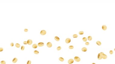 Beyaz arka planda bir sürü soya fasulyesi uçuruyor. Açık kahverengi tanecikler. Soya fasulyesi ve soya fasulyesi. Sağlıklı yiyecekler. Dönen soya fasulyelerinin 3 boyutlu döngü animasyonu.