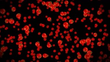 Siyah arka planda bir sürü taze domates uçurmak. Organik sebzeler. Olgun sulu vişneli domatesler. Domates dönüşünün 3 boyutlu döngü animasyonu.