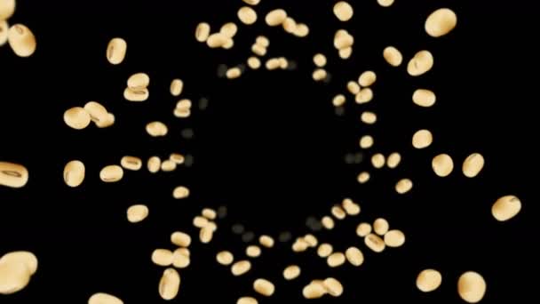 Flying Many Soybeans Black Background Light Brown Grains Soya Bean — Stock Video