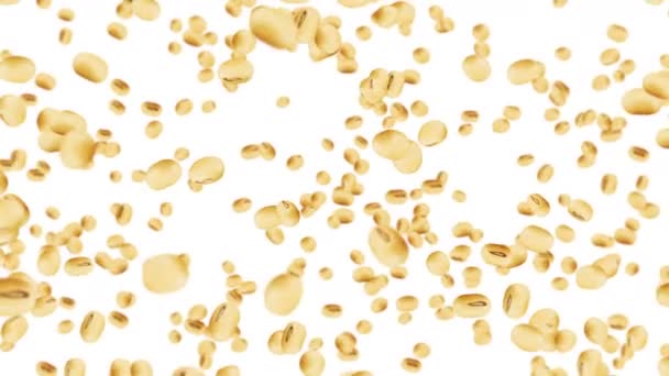 许多大豆都是白色背景的 浅褐色颗粒 大豆和大豆 健康食品 大豆旋转的3D循环动画 — 图库视频影像