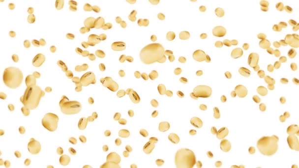 배경에는 나르고 갈색의 콩이다 회전하는 애니메이션 — 비디오