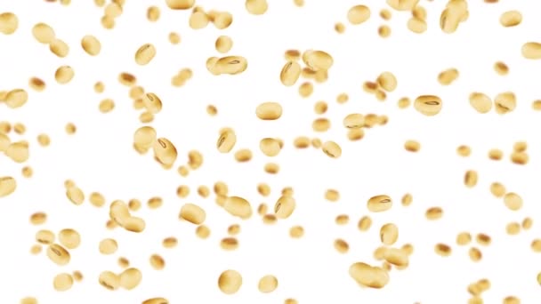白い背景に大豆がたくさん飛んでいます 淡褐色の粒 大豆と大豆 健康食品 大豆の3Dループアニメーションが回転 — ストック動画
