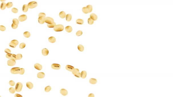 Flying Many Soybeans White Background Light Brown Grains Soya Bean — Stock Video