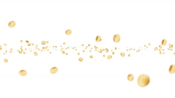 Flying Many Soybeans White Background Light Brown Grains Soya Bean — Stock Video