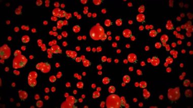 Siyah arka planda bir sürü taze domates uçurmak. Organik sebzeler. Olgun sulu vişneli domatesler. Domates dönüşünün 3 boyutlu döngü animasyonu.