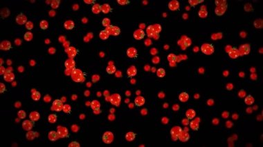 Siyah arka planda bir sürü taze domates uçurmak. Organik sebzeler. Olgun sulu vişneli domatesler. Domates dönüşünün 3 boyutlu döngü animasyonu.