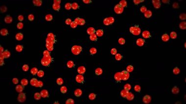 Siyah arka planda bir sürü taze domates uçurmak. Organik sebzeler. Olgun sulu vişneli domatesler. Domates dönüşünün 3 boyutlu döngü animasyonu.