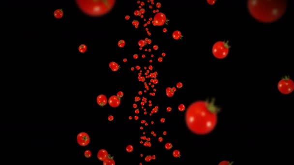 Vliegen Veel Verse Tomaten Zwarte Achtergrond Biologische Groenten Rijp Sappige — Stockvideo