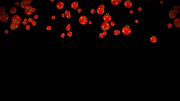 Viele Frische Tomaten Fliegen Auf Schwarzem Hintergrund Bio Gemüse Reife — Stockvideo