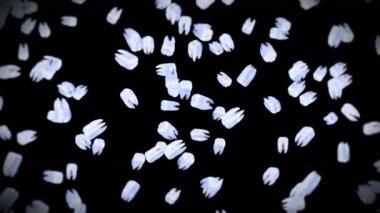 Siyah arka planda bir sürü beyaz diş uçuruyor. Diş bakımı konsepti. Diş dönüşünün 3 boyutlu animasyonu. Döngü canlandırması.