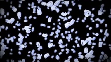 Siyah arka planda bir sürü beyaz diş uçuruyor. Diş bakımı konsepti. Diş dönüşünün 3 boyutlu animasyonu. Döngü canlandırması.