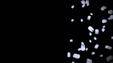 Siyah arka planda bir sürü beyaz diş uçuruyor. Diş bakımı konsepti. Diş dönüşünün 3 boyutlu animasyonu. Döngü canlandırması.