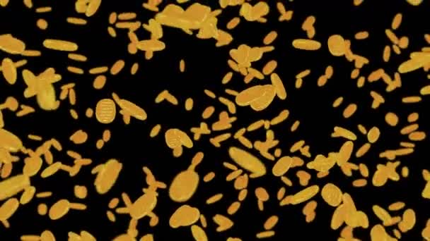 Літаючи Багато Монет Чорному Фоні Японська Овальна Золота Монета Гроші — стокове відео