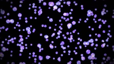 Siyah arka planda bir sürü berrak kristal küre uçuyor. Şeffaf, renkli camlar. Parlak topun dönüşünün 3 boyutlu animasyonu. Döngü canlandırması.