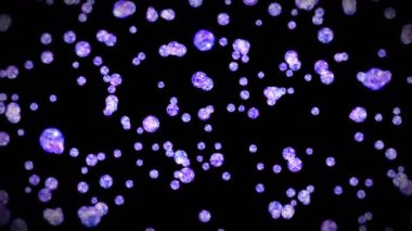 Siyah arka planda bir sürü berrak kristal küre uçuyor. Şeffaf, renkli camlar. Parlak topun dönüşünün 3 boyutlu animasyonu. Döngü canlandırması.