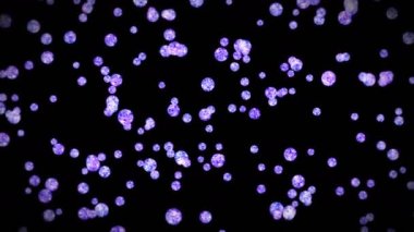 Siyah arka planda bir sürü berrak kristal küre uçuyor. Şeffaf, renkli camlar. Parlak topun dönüşünün 3 boyutlu animasyonu. Döngü canlandırması.