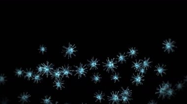 Siyah zemin üzerinde birçok virüs hücresi uçurmak. Tıbbi konsept, mikroskobik çizim. Dönen virüs moleküllerinin 3 boyutlu animasyonu. Döngü canlandırması.