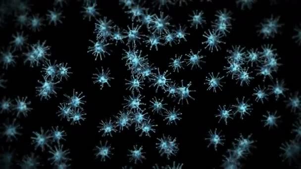 在黑色背景上飞行许多病毒细胞 医学概念 微观图解 3D动画病毒分子旋转 循环动画 — 图库视频影像