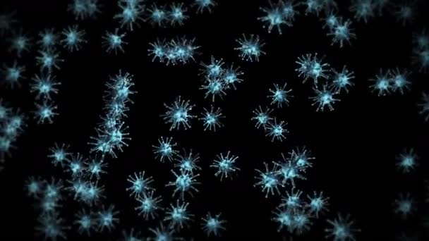 黒の背景に多くのウイルス細胞を飛んでいます 医学的概念 顕微鏡イラスト ウイルス分子が回転する3Dアニメーション ループアニメーション — ストック動画