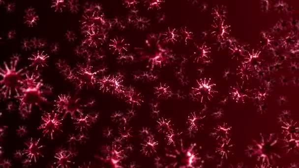 在红色背景下飞行许多病毒细胞 医学概念 微观图解 3D动画病毒分子旋转 循环动画 — 图库视频影像