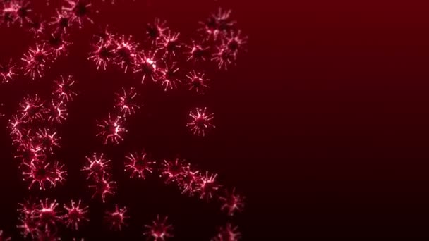 赤い背景に多くのウイルス細胞を飛んでいます 医学的概念 顕微鏡イラスト ウイルス分子が回転する3Dアニメーション ループアニメーション — ストック動画