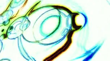 Beyaz arka planda parlak yuvarlak dalga çizgisi. Neon ışıkları hareket halinde. Aydınlatılmış gelecekçi şekil. Dijital teknoloji konsepti. Döngü canlandırması.