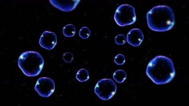 Siyah arka planda bir sürü sabun köpüğü var. Gerçekçi kabarcıklar yavaşça yüzer. Uçan şeffaf kabarcıklar. Döngü canlandırması.