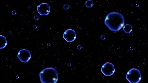 Many Soap Bubbles Black Background Realistic Bubbles Slowly Float Transparent — Stock Video