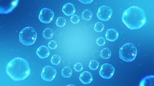 Много Мыльных Пузырей Голубом Фоне Реалистичные Пузыри Медленно Плавают Прозрачные — стоковое видео