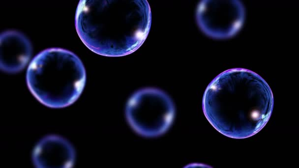 Many Soap Bubbles Black Background Realistic Bubbles Slowly Float Transparent — Stock Video