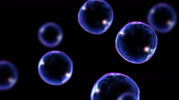 Many Soap Bubbles Black Background Realistic Bubbles Slowly Float Transparent — Stock Video