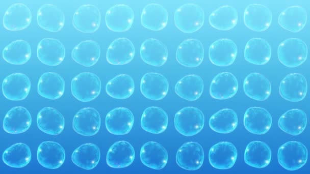 蓝色背景上有许多肥皂泡 现实的泡沫慢慢浮出水面 透明的气泡在飞舞 循环动画 — 图库视频影像
